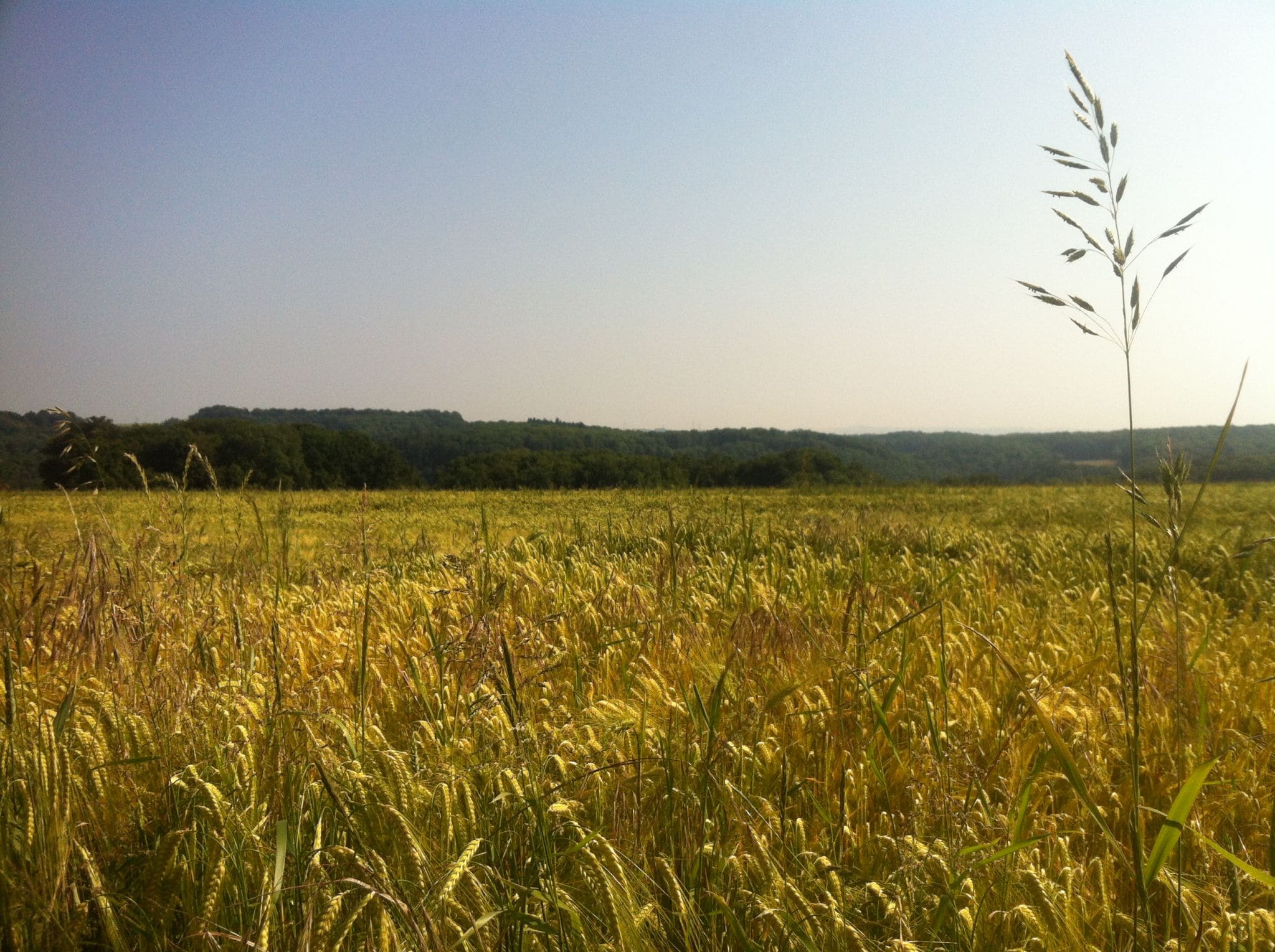 Weite Landschaft und achtsames Wandern beim TRUE NATURE RETREAT