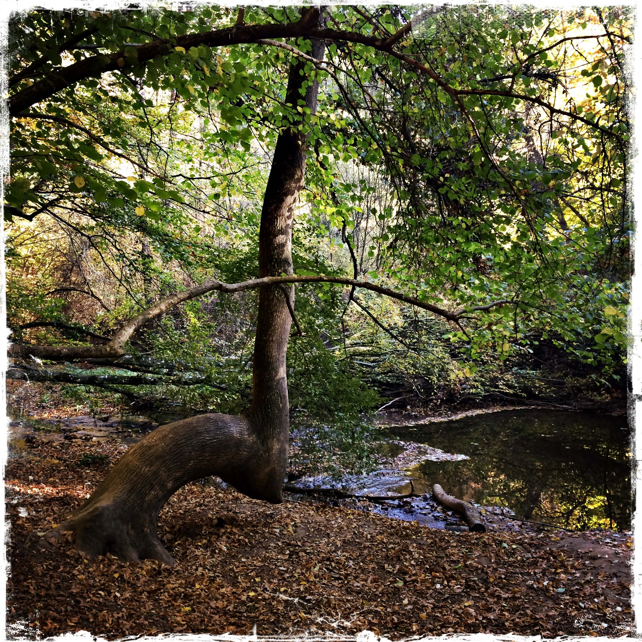 Eifel Wandern & Achtsamkeit