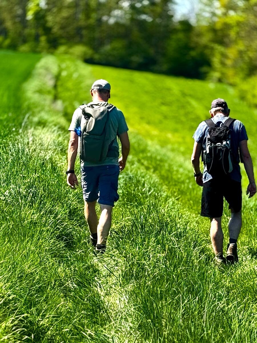 Klärung auf dem Weg