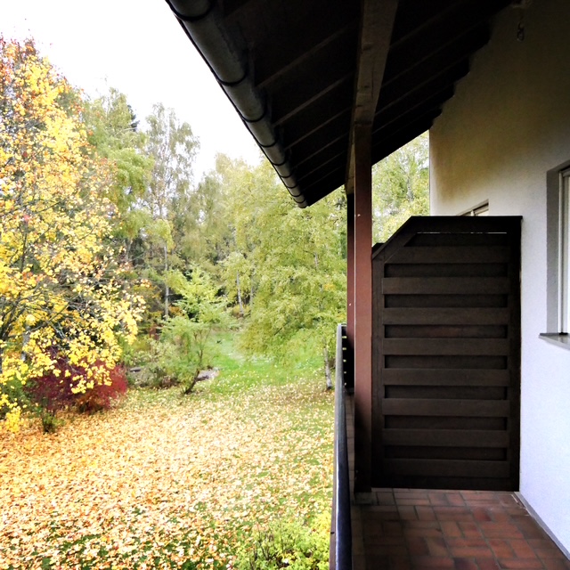 BlickausdemZimmerHotelUnsereinsHerbst