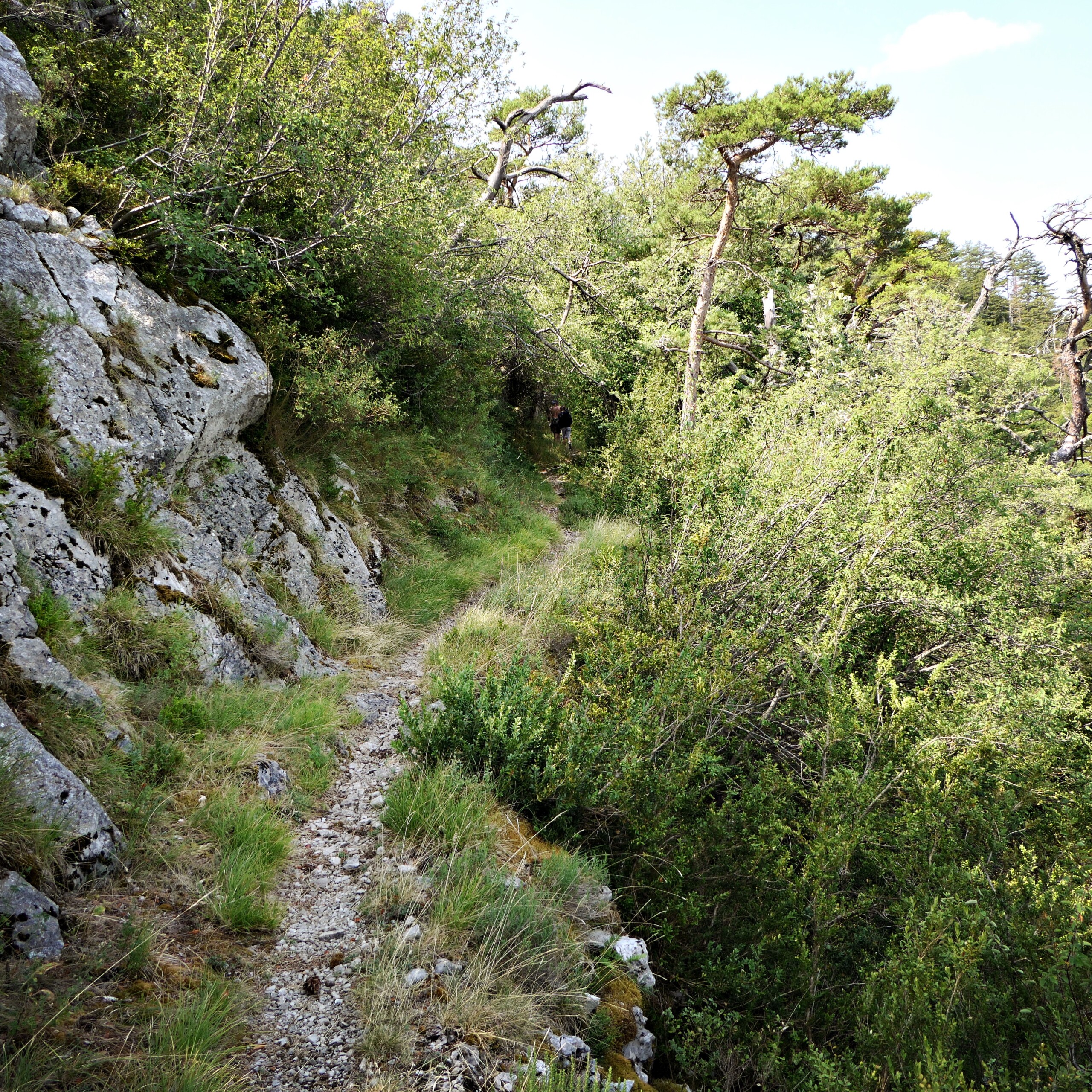 Achtsamkeit in der Natur bei Koblenz