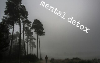 Achtsames Wandern in der Natur als Mental Detox bei digitaler Überlastung