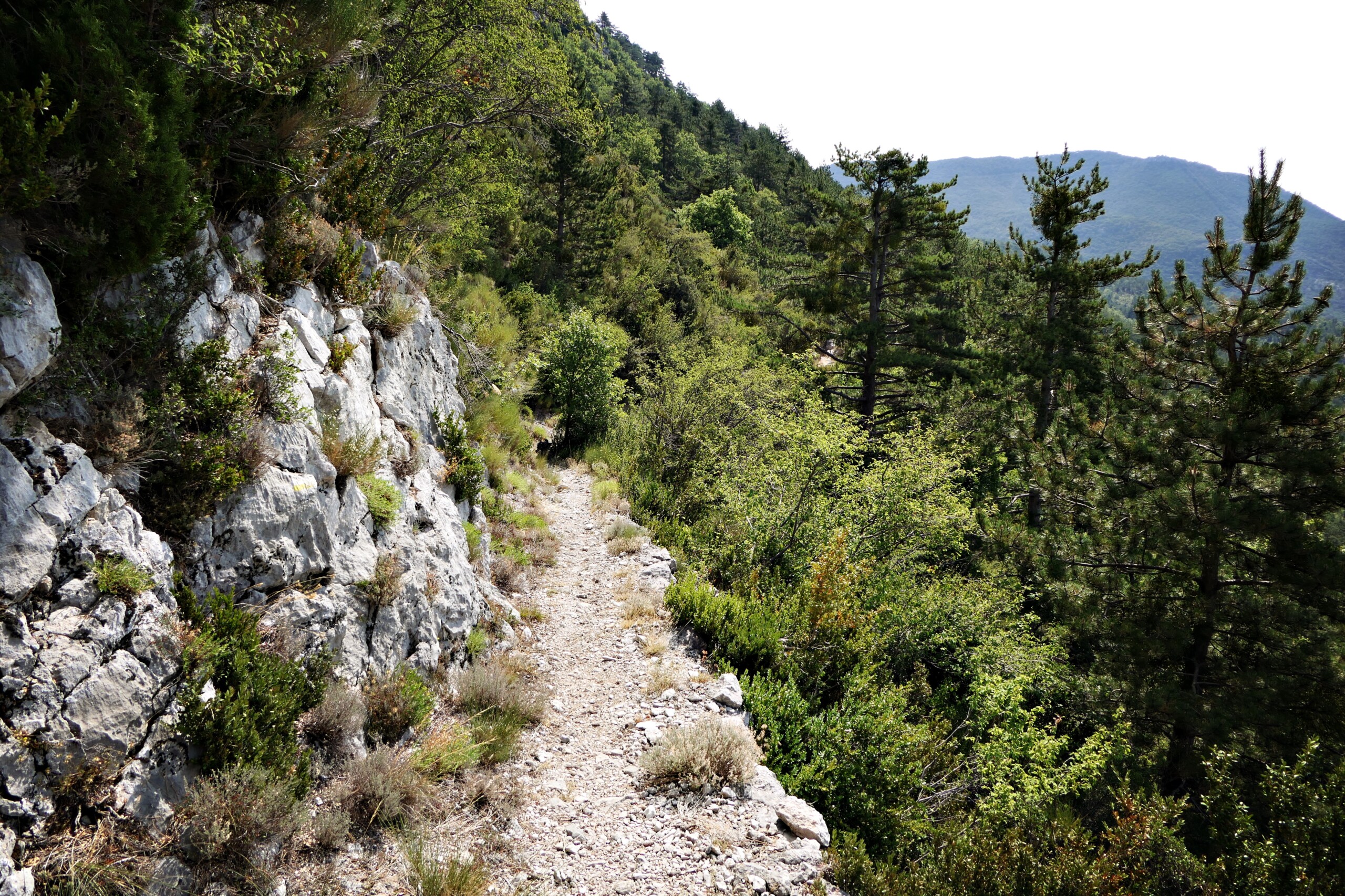 Weg in den Bergen