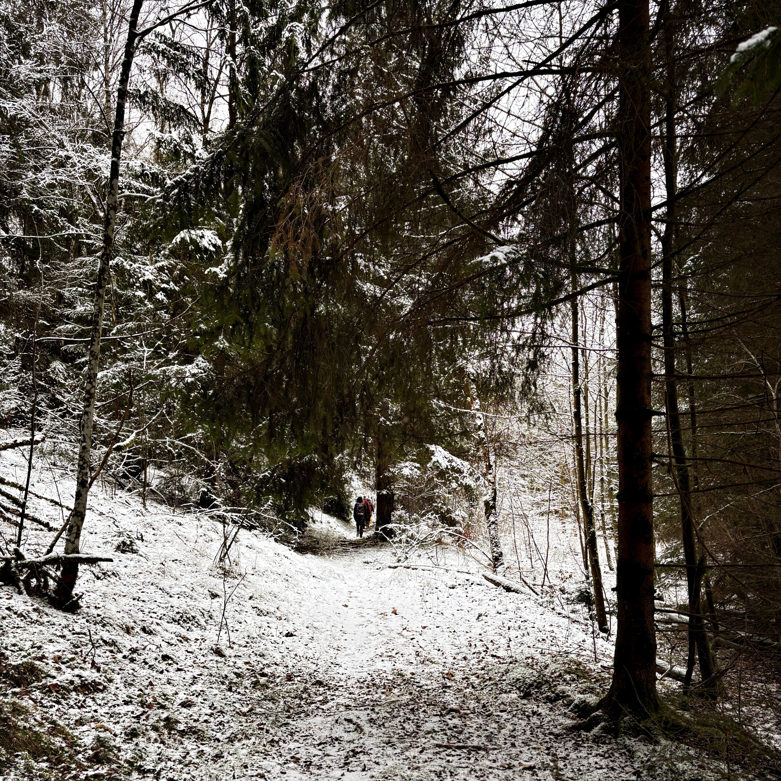 Verschneite Natur als ruhiger Rahmen für das Silvester-Retreat