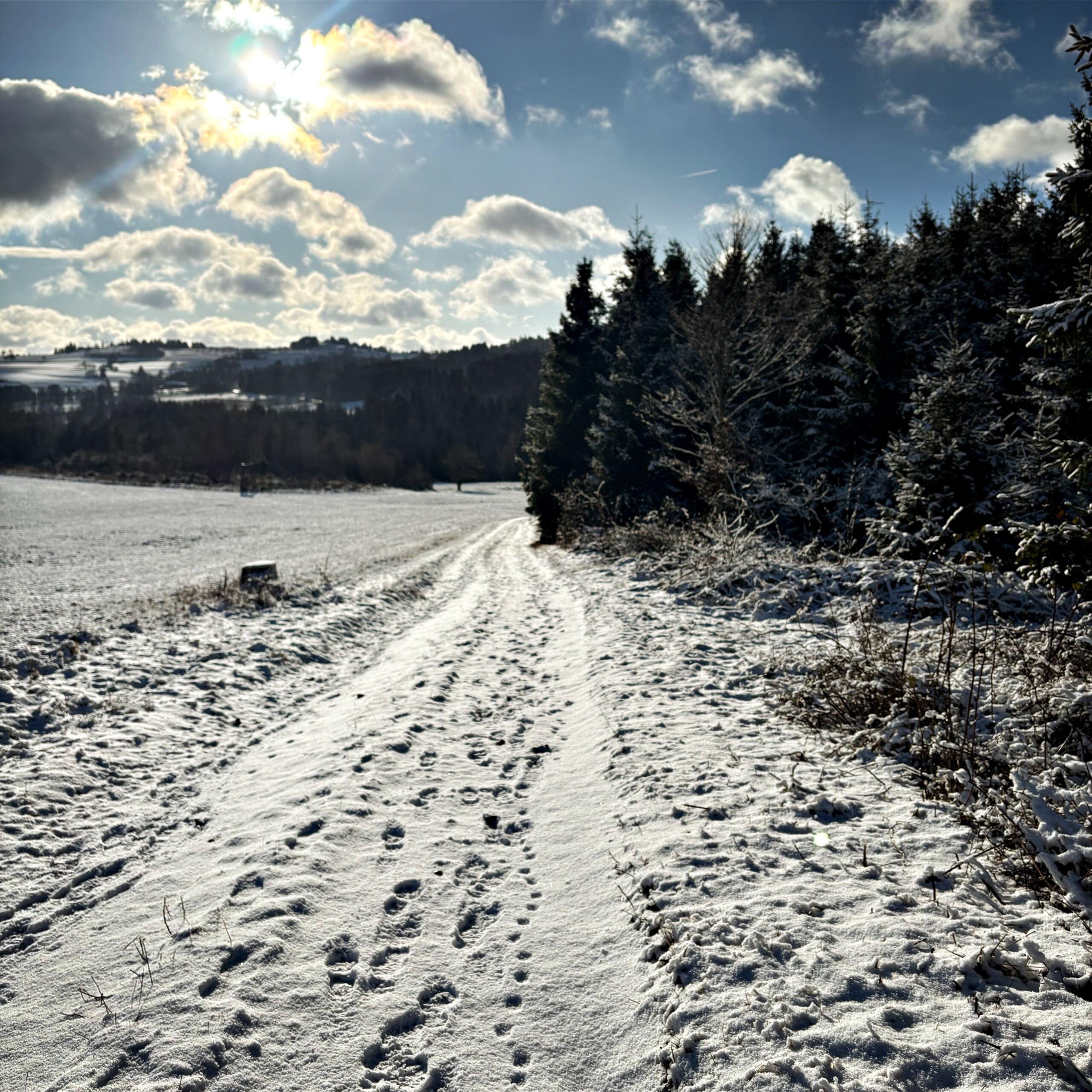 Winterliche Landschaft als Symbol für Ruhe und inneren Rückzug