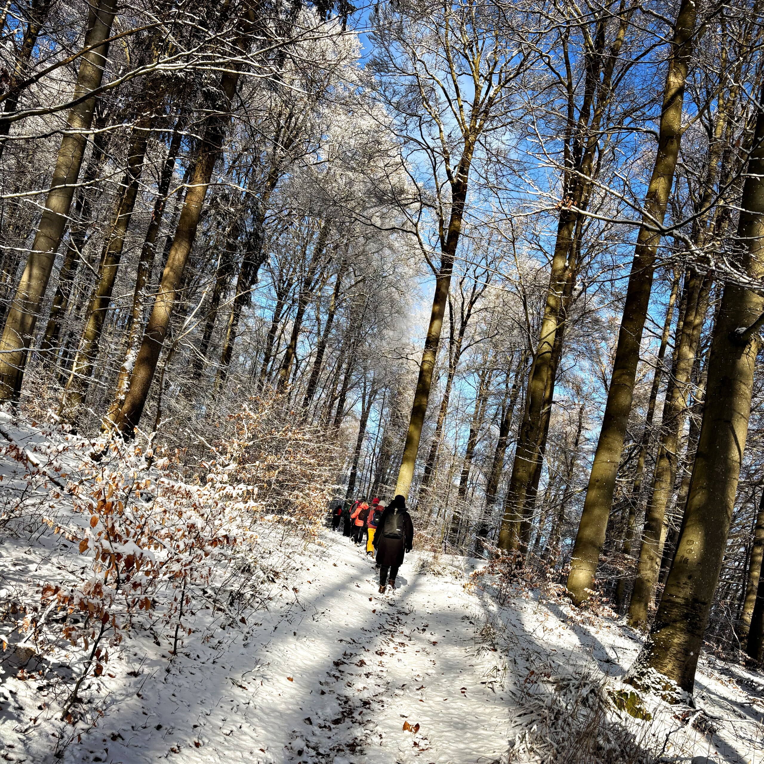 Winterliche Natur als stiller Rahmen für das Silvester-Retreat