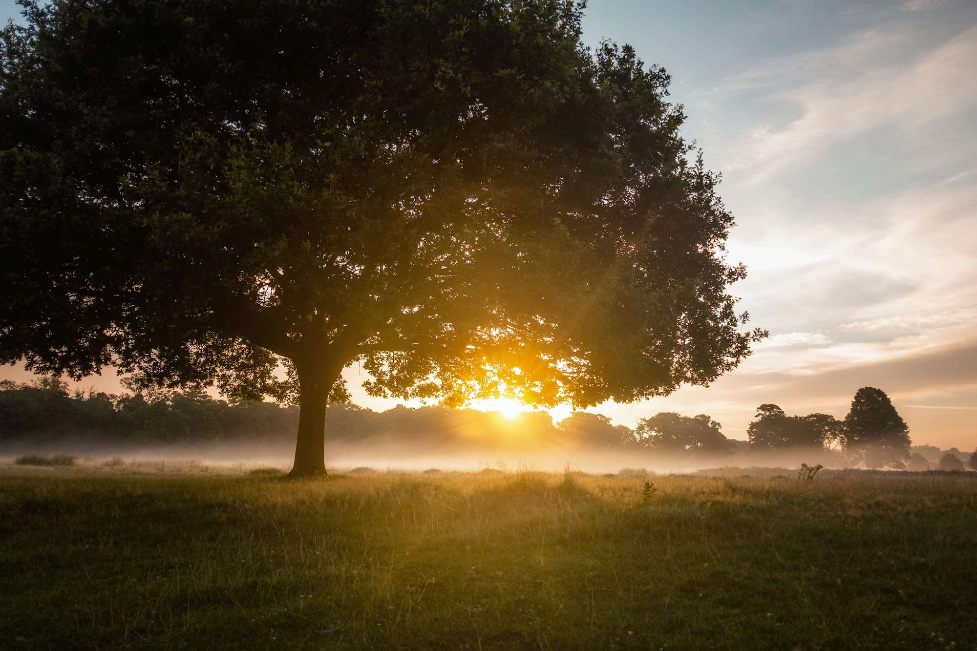 Sonnenlicht über stiller Natur als Bild für Ruhe, Weite und einen neuen inneren Anfang
