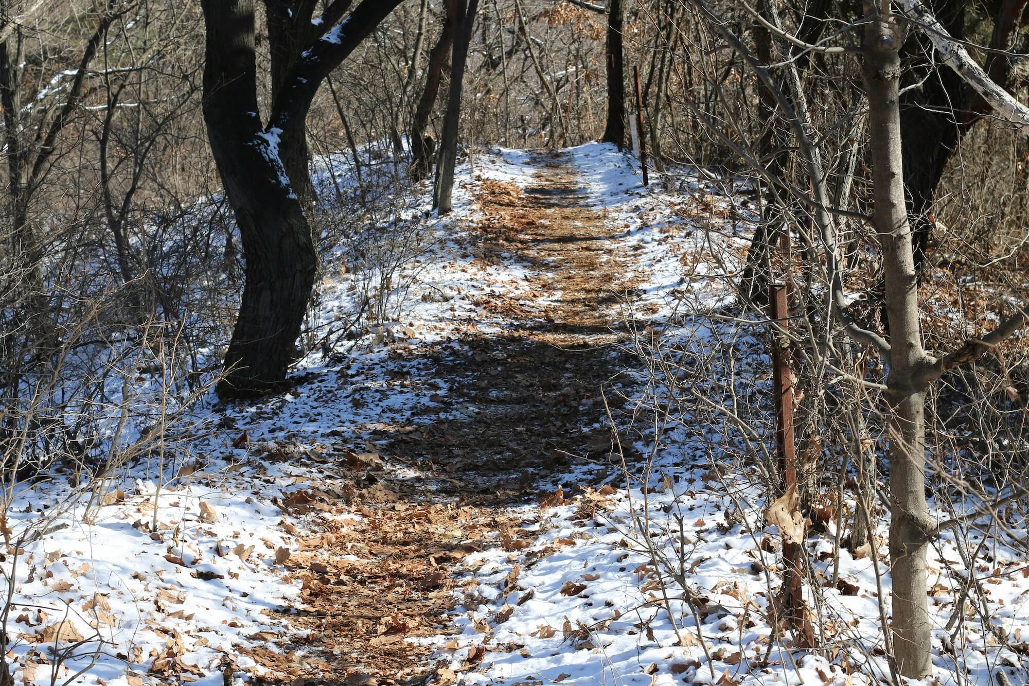Schmaler Wanderweg im Winter als Symbol für achtsames Gehen und innere Klarheit